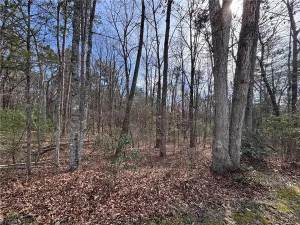 $69,000 | Tbd Leeford Lane, Elkin, NC 28621