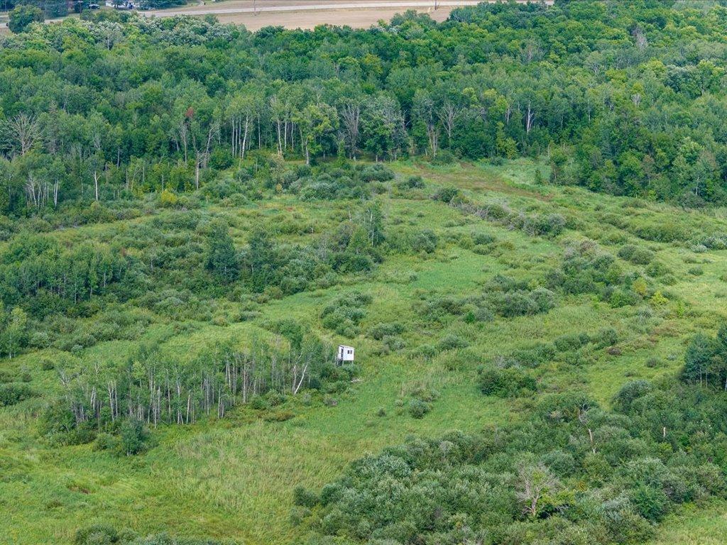 Tbd Azalea Road Motley, MN 56466 - Photo 28 of 39 Gallery Image 28