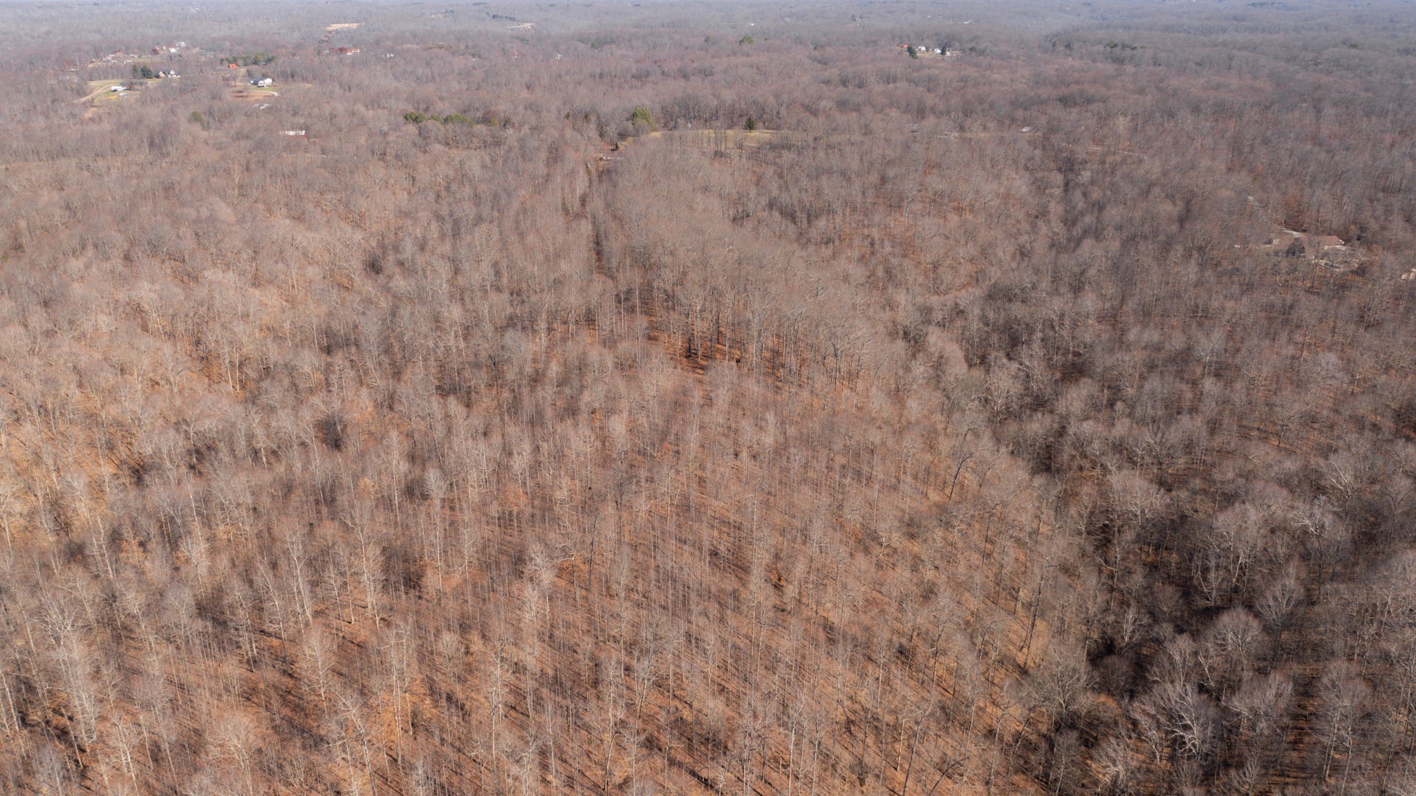 0 Walker Road Goodlettsville, TN 37072 - Photo 12 of 26 Gallery Image 12