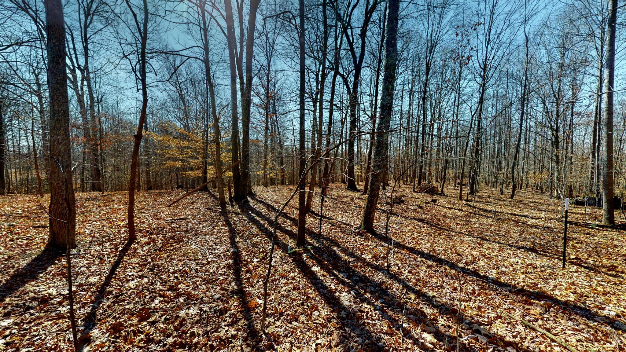 0 Walker Road Goodlettsville, TN 37072 - Photo 20 of 26 Gallery Image 20