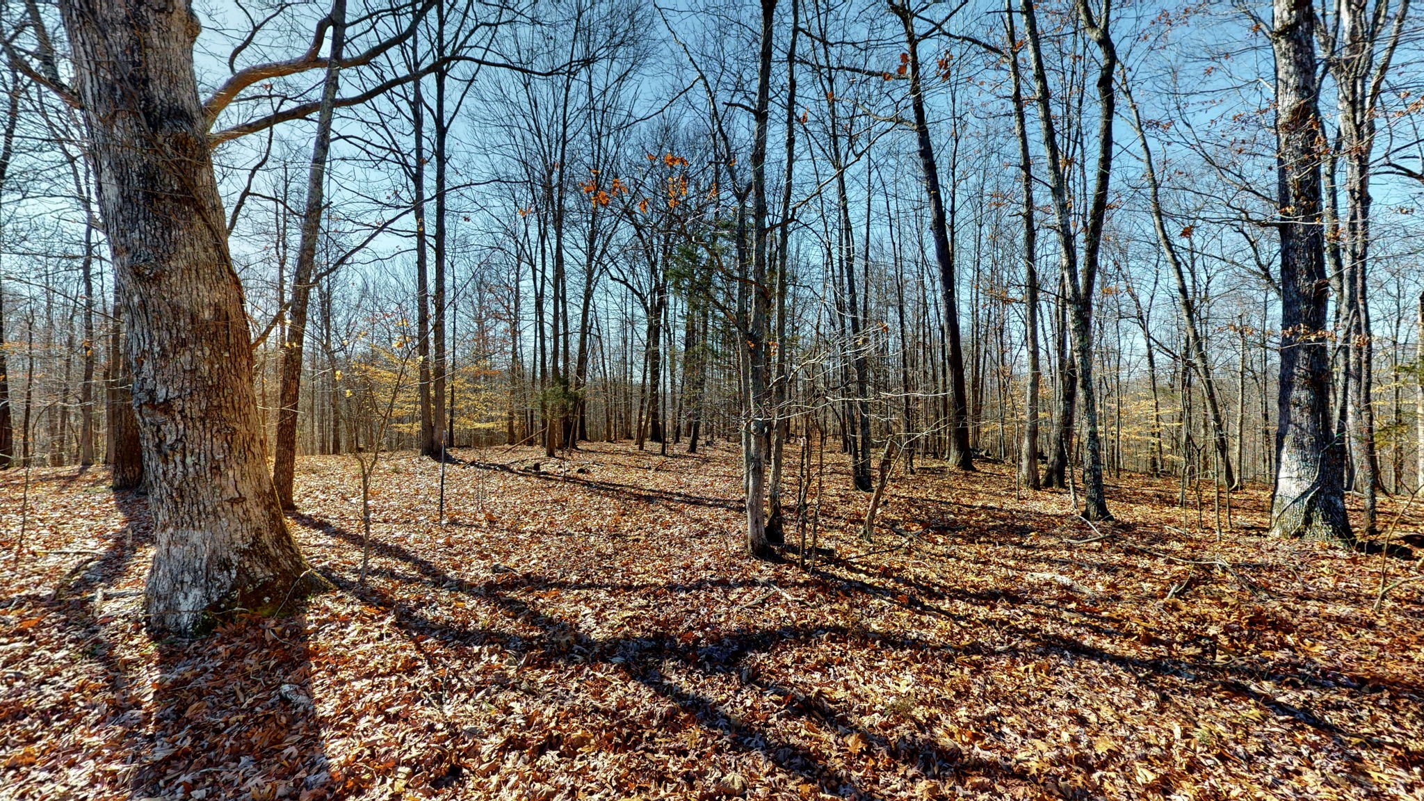 0 Walker Road Goodlettsville, TN 37072 - Photo 23 of 26 Gallery Image 23