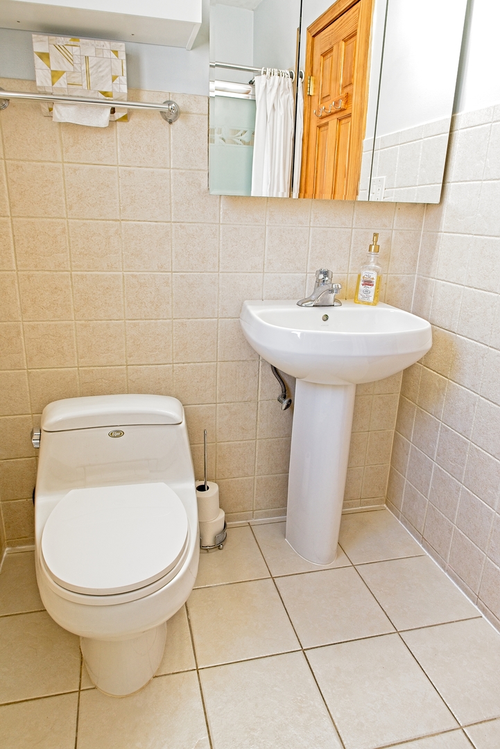 7722 West Rascher Avenue Chicago, IL 60656 - Photo 13 of 43 Gallery Image 13