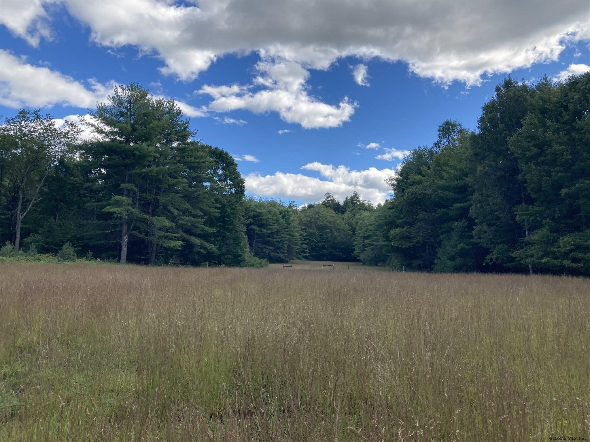Dean Mountain Road Corinth, NY 12822 - Photo 39 of 53 Photo 39