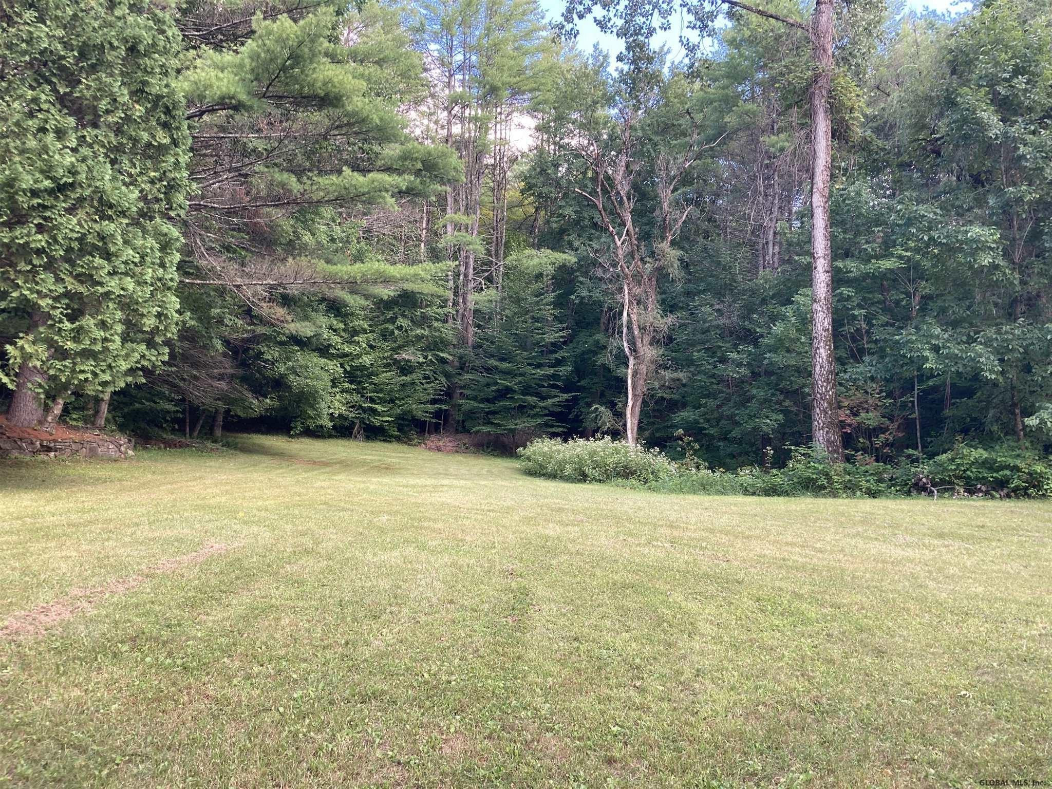 Dean Mountain Road Corinth, NY 12822 - Photo 4 of 53 Photo 4
