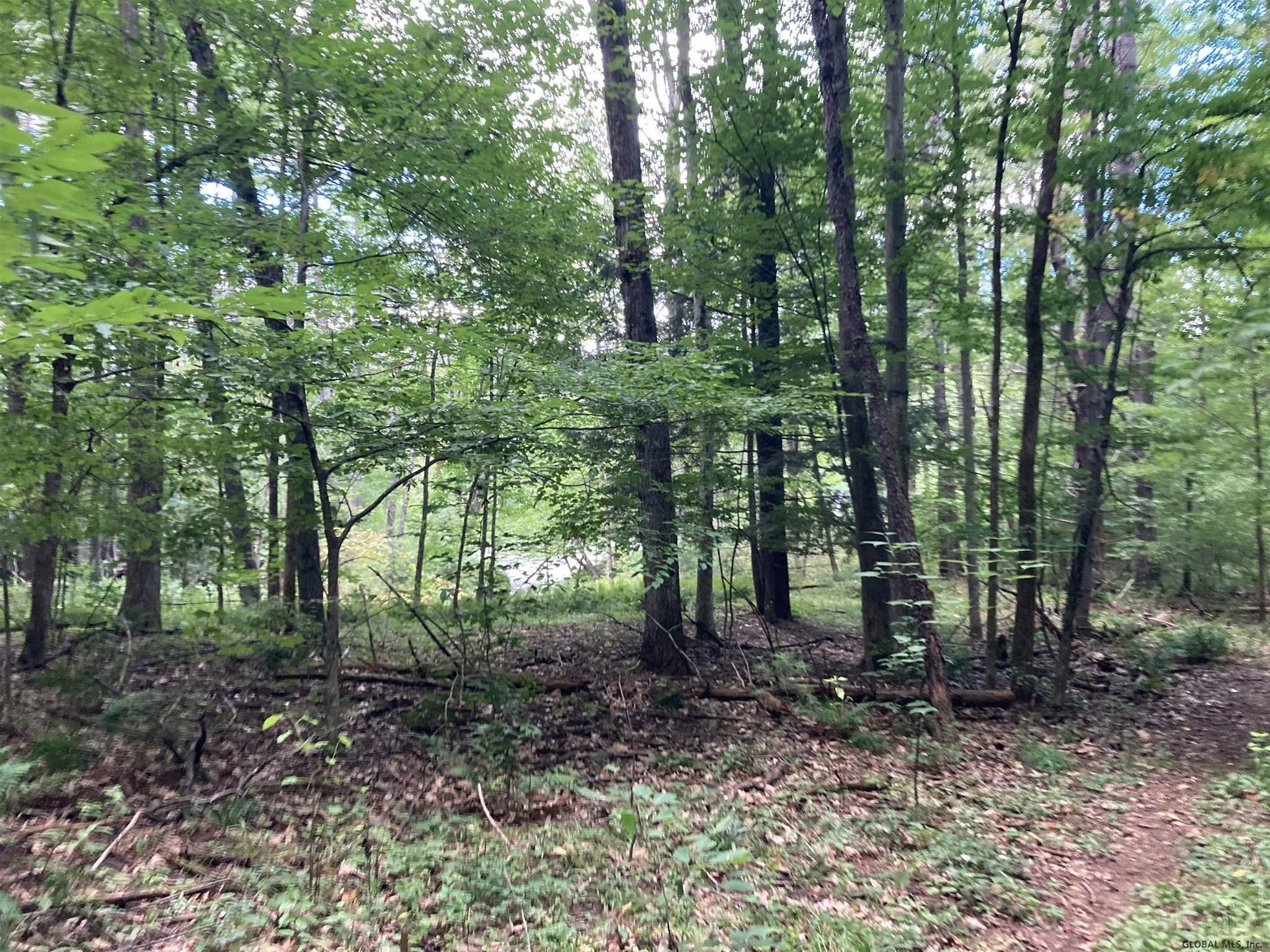 Dean Mountain Road Corinth, NY 12822 - Photo 45 of 53 Photo 45
