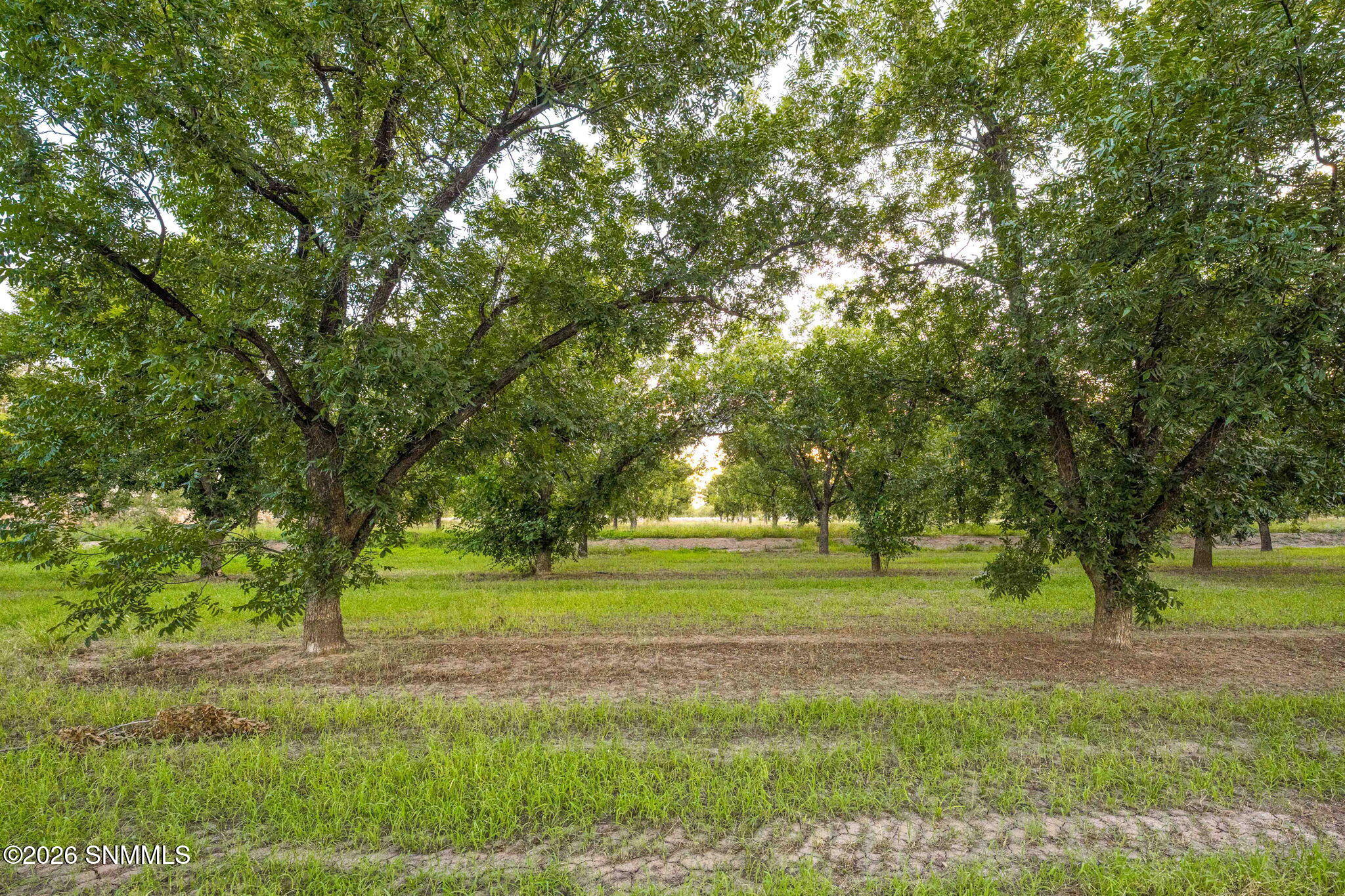 3070 Estrada Road Mesilla, NM 88046 - Photo 65 of 75 108-web-or-mls-Snappin Homes (Estrada307