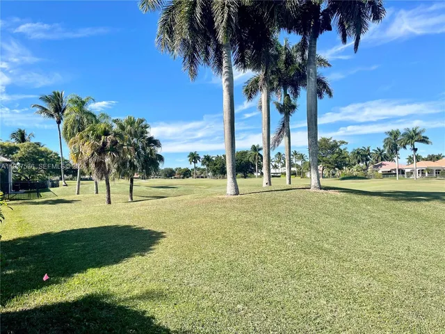 a view of a park with palm trees