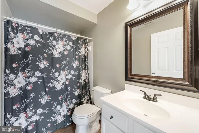 a bathroom with a sink and a toilet