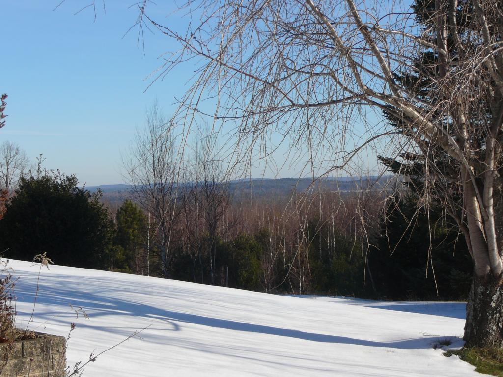 212 Ridge Road New Durham, NH 03855 - Photo 4 of 10