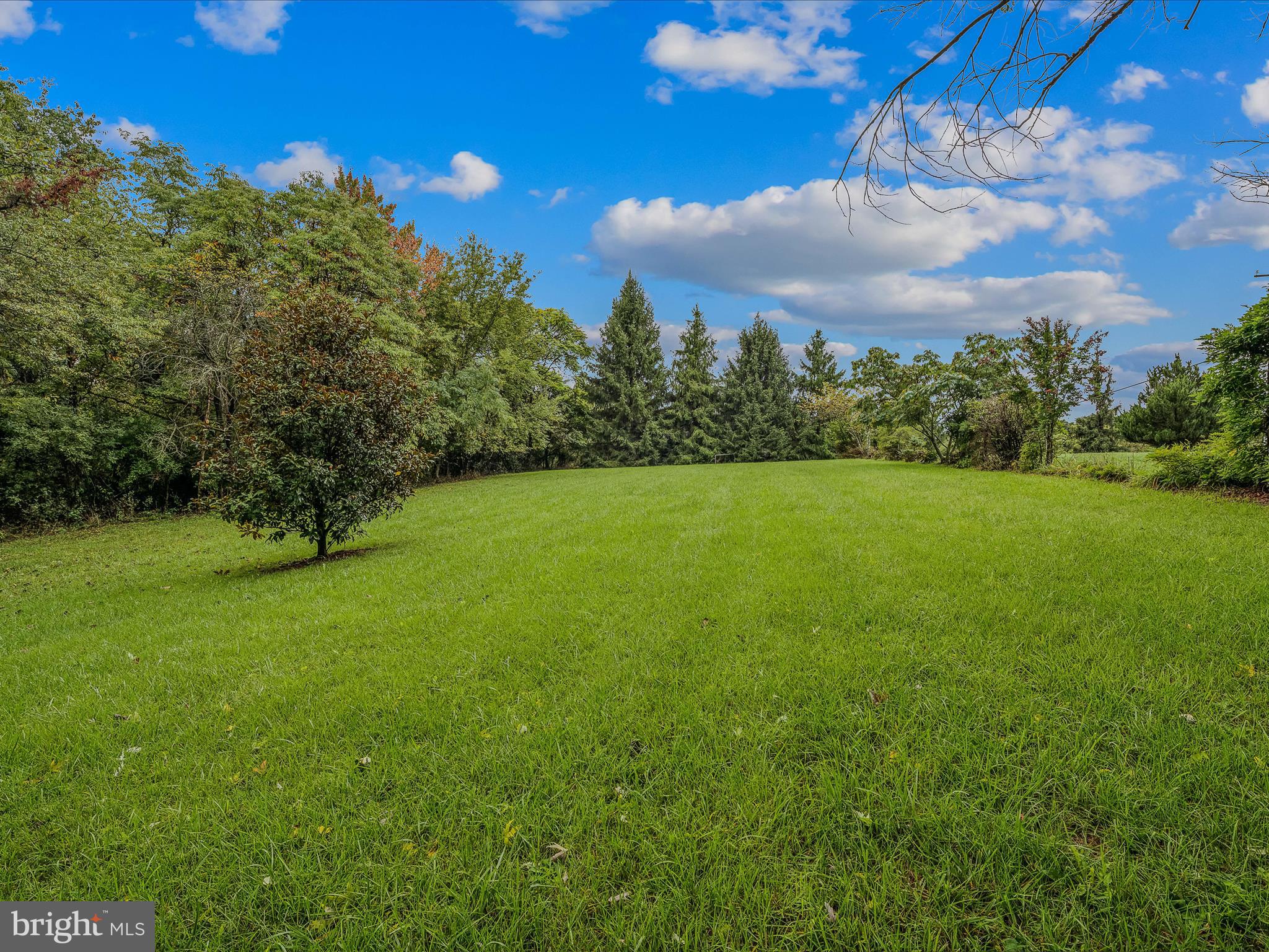 9797 Winchester Grade Road Berkeley Springs, WV 25411 - Photo 27 of 30 Sideyard
