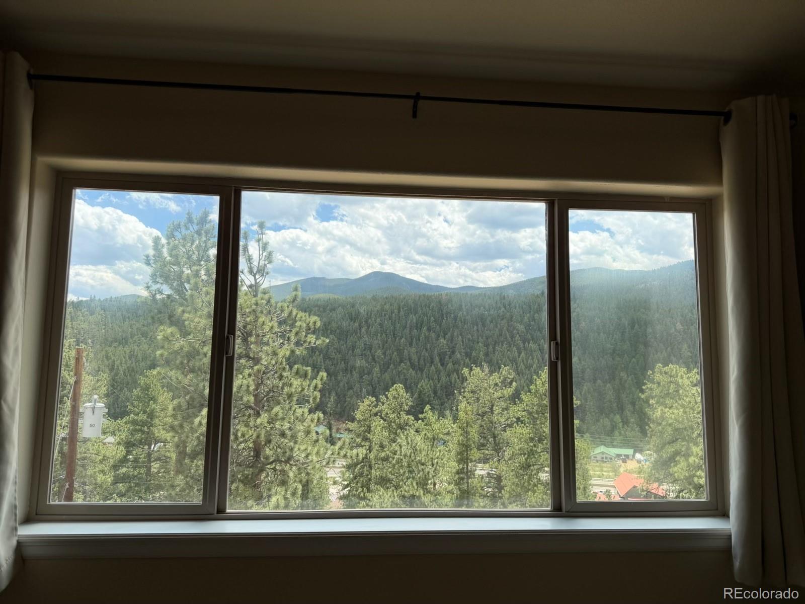 303 Virginia Road, Unit E Bailey, CO 80421 - Photo 19 of 27