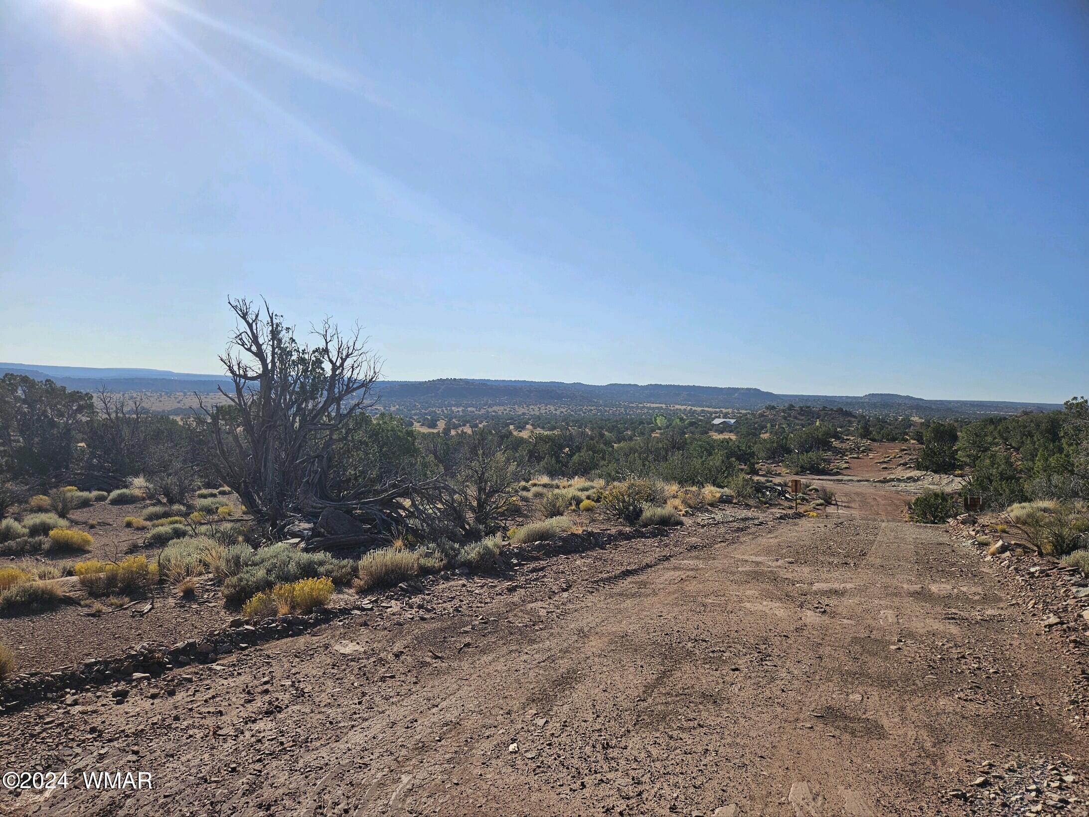 3964 Concho Ocho Road Snowflake, AZ 85937 - Photo 26 of 28 a view of a dry field with mountains in the background