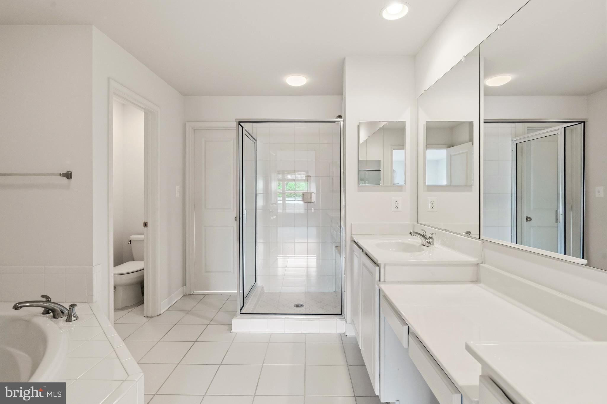 9227 Ribbon Falls Loop Bristow, VA 20136 - Photo 41 of 53 a bathroom with a tub sink and mirror