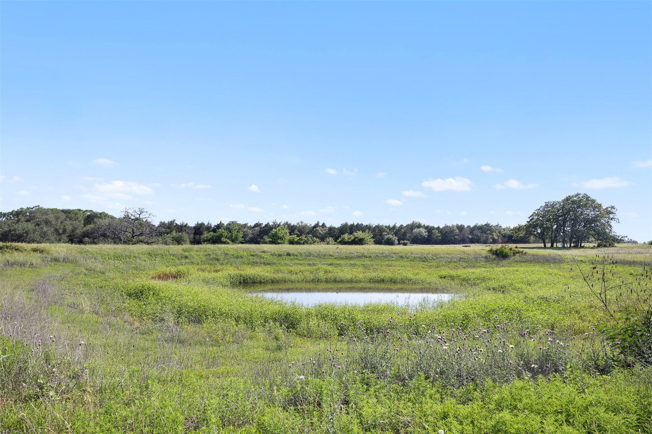 1310 North Nassau Road Round Top, TX 78954 - Photo 1 of 24