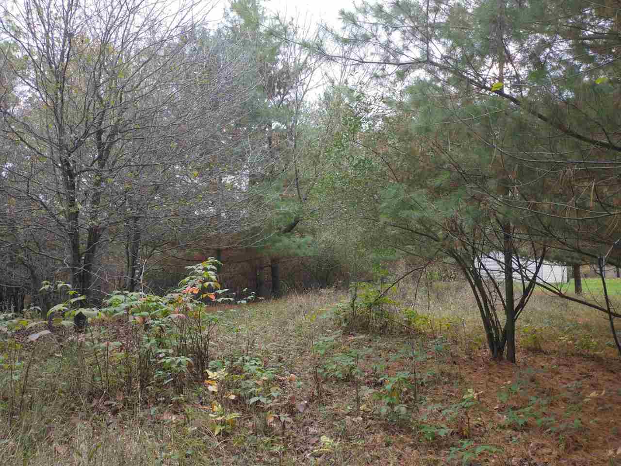 Lot 263 Islanders Way Gladwin, MI 48624 - Photo 7 of 14