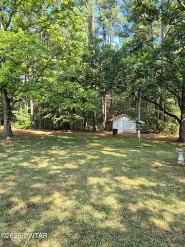 a view of a yard with a tree