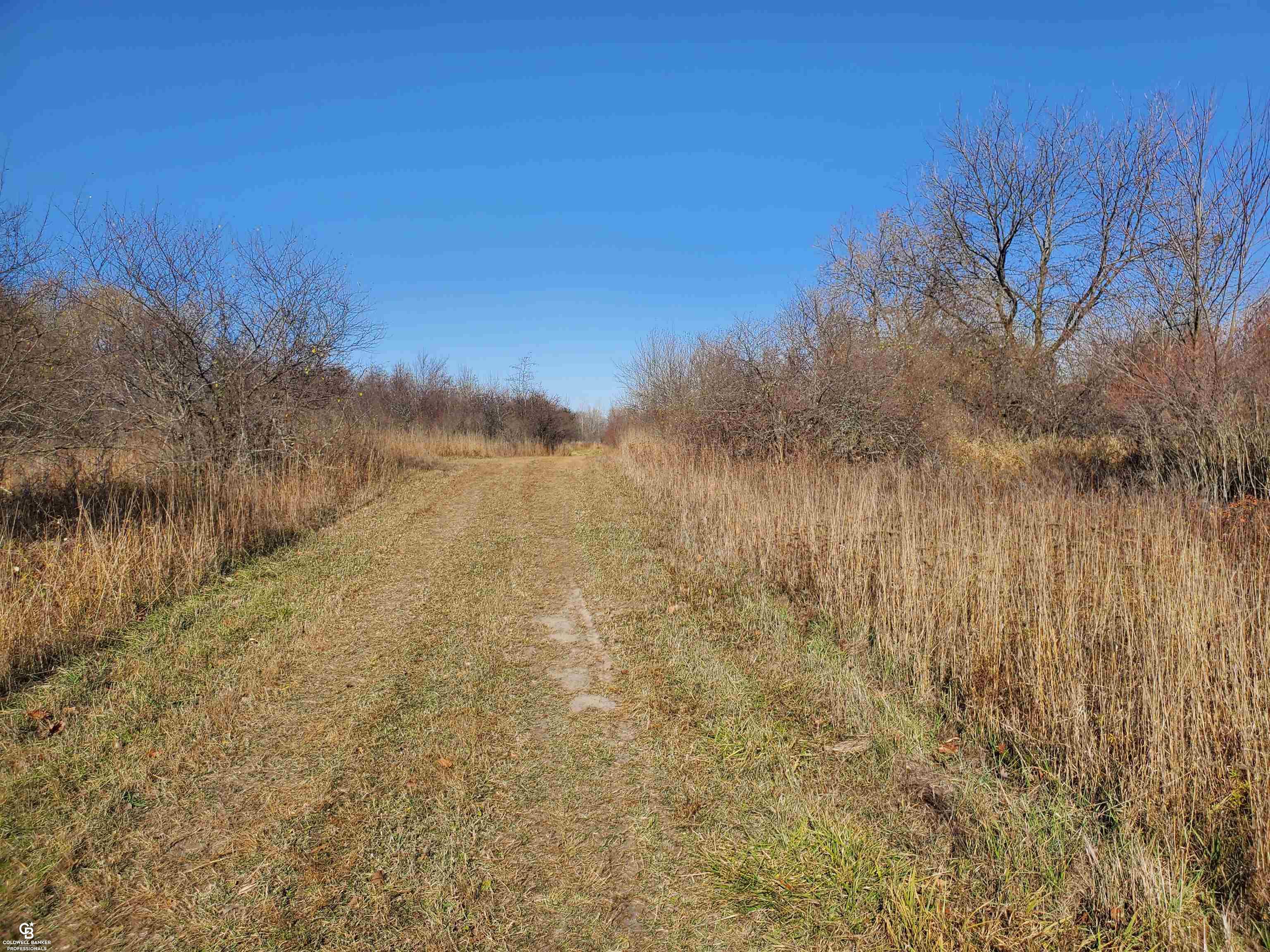 Mason Rd Ville Yale, MI 48097 - Photo 12 of 21