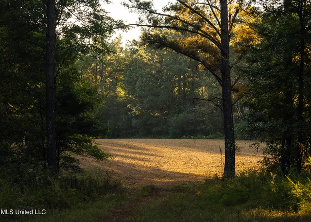 $4,911,640 | 4 Mississippi Holly Springs, Holly Springs, MS 38635