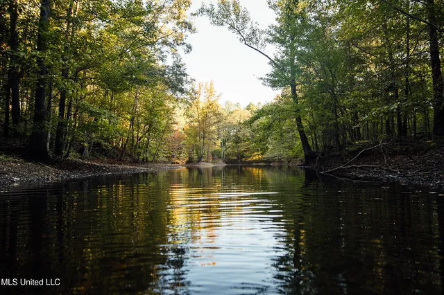 $4,911,640 | 4 Mississippi Holly Springs, Holly Springs, MS 38635