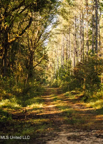 $4,911,640 | 4 Mississippi Holly Springs, Holly Springs, MS 38635