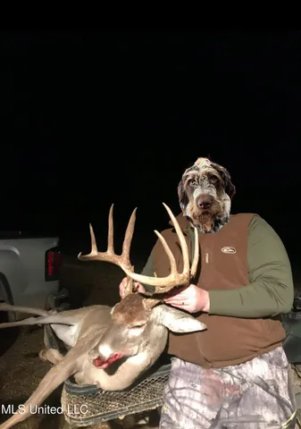 $4,911,640 | 4 Mississippi Holly Springs, Holly Springs, MS 38635