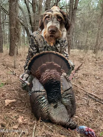 $4,911,640 | 4 Mississippi Holly Springs, Holly Springs, MS 38635