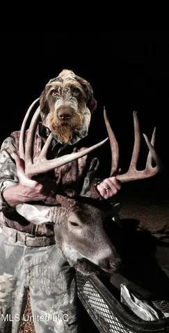 $4,911,640 | 4 Mississippi Holly Springs, Holly Springs, MS 38635