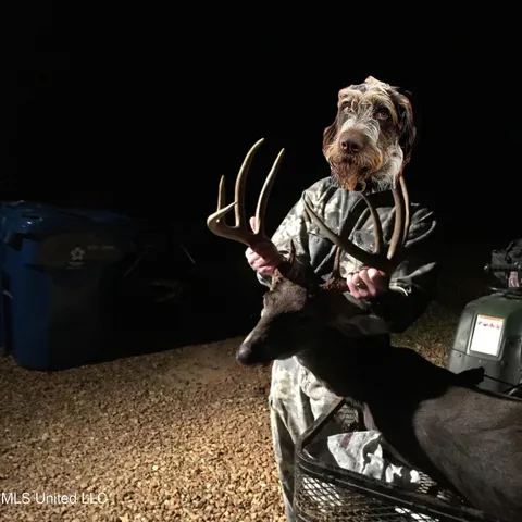 $4,911,640 | 4 Mississippi Holly Springs, Holly Springs, MS 38635