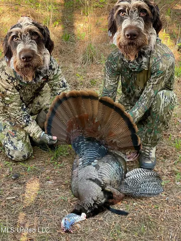 $4,911,640 | 4 Mississippi Holly Springs, Holly Springs, MS 38635