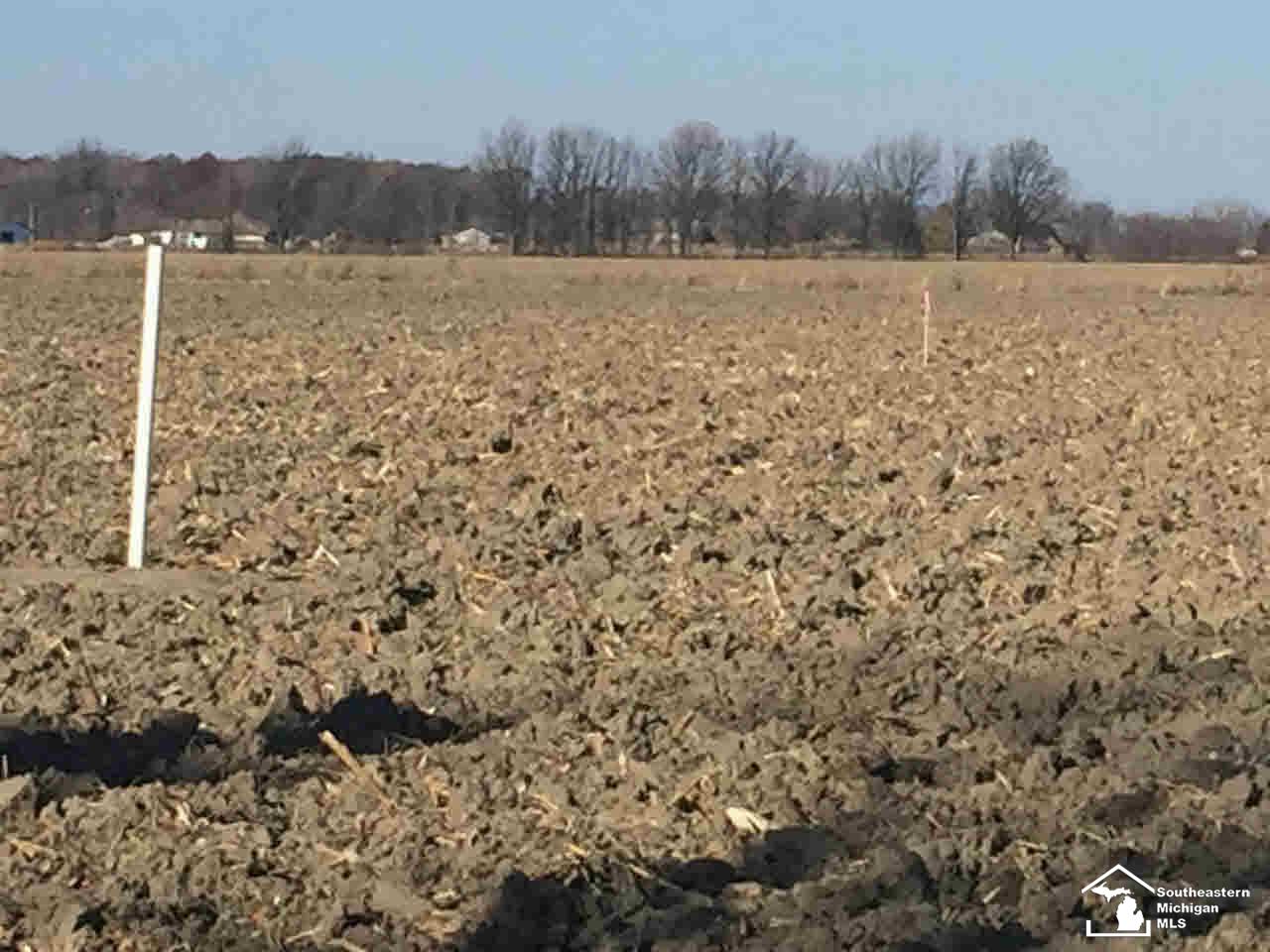 3924 Scofield Carleton Road Carleton, MI 48117 - Photo 18 of 23