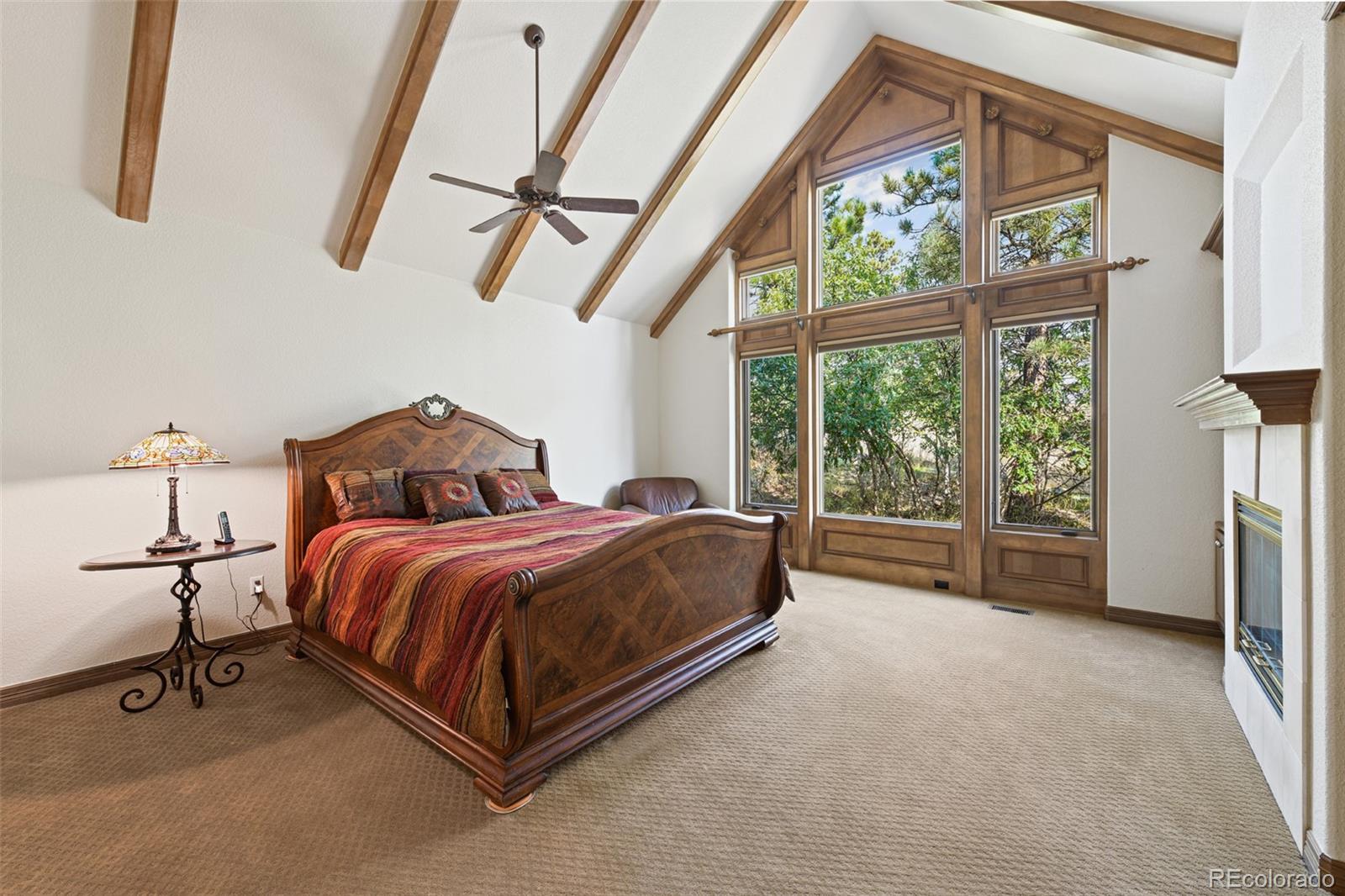 7731 Running Fox Way Parker, CO 80134 - Photo 18 of 40