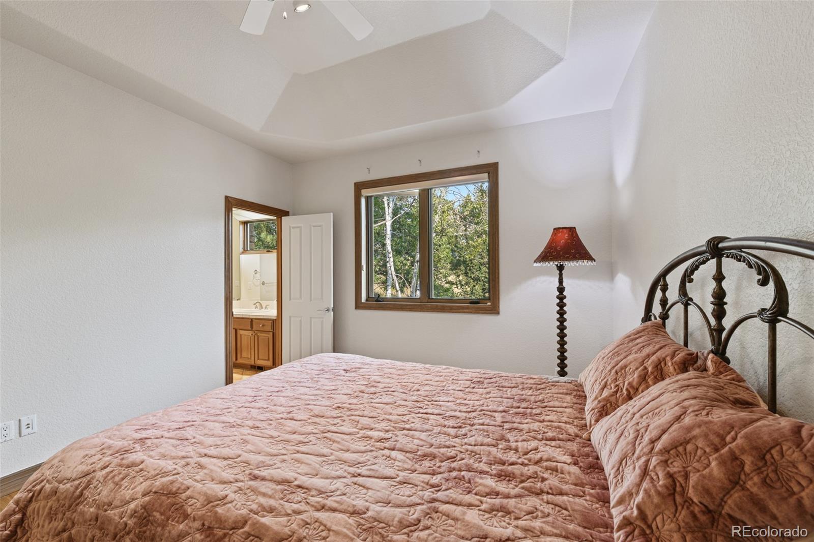 7731 Running Fox Way Parker, CO 80134 - Photo 24 of 40