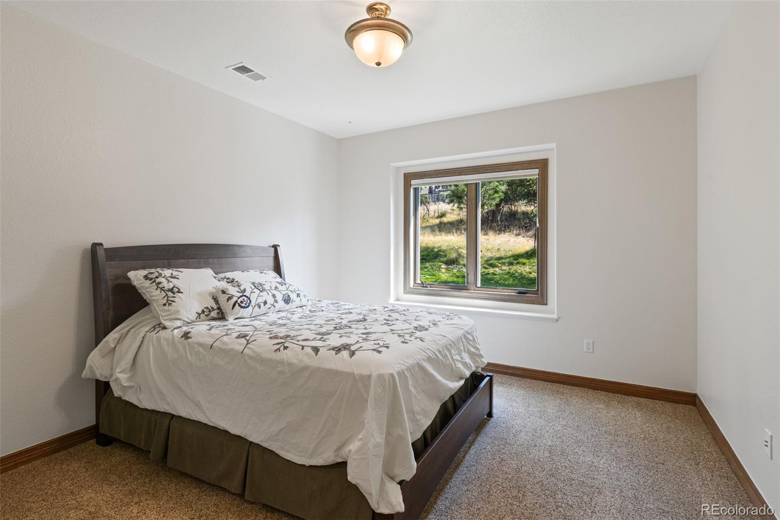 7731 Running Fox Way Parker, CO 80134 - Photo 33 of 40