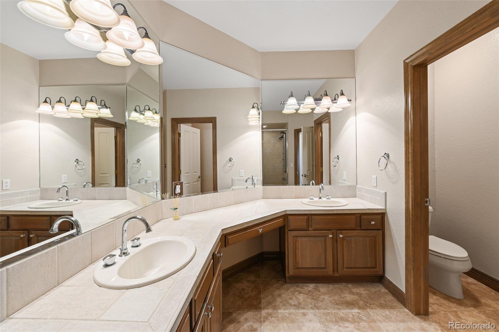 7731 Running Fox Way Parker, CO 80134 - Photo 34 of 40