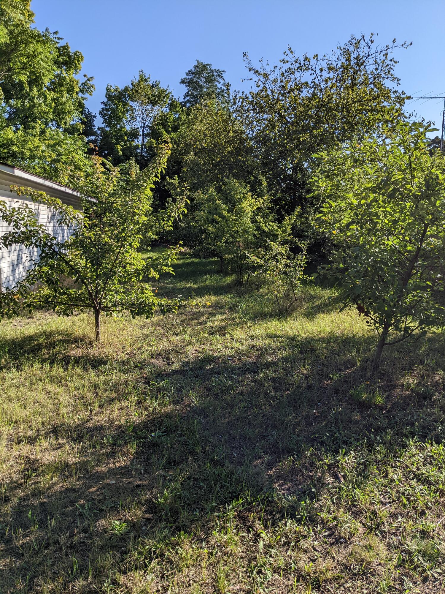 1272 Spring Street Muskegon, MI 49442 - Photo 2 of 8 PXL_20220921_142339551
