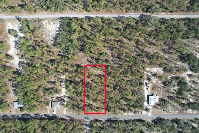 Southwest Obee Ridge Road Dunnellon, FL 34431 - Photo 2 of 10