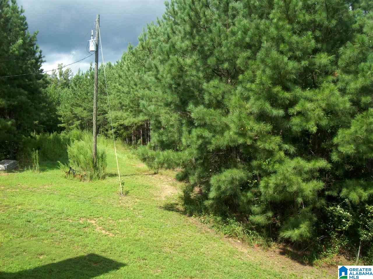 2177 County Road 61 Fruithurst, AL 36262 - Photo 7 of 33