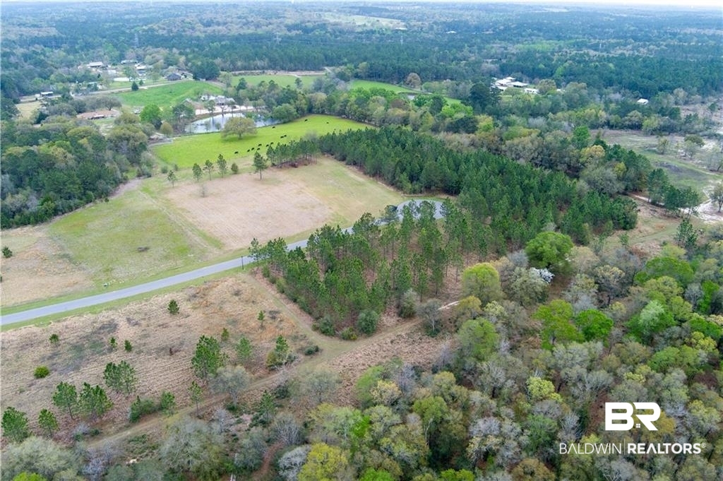 47 Hampton Ridge Mobile, AL 36608 - Photo 5 of 9 View of property location with rural landscape