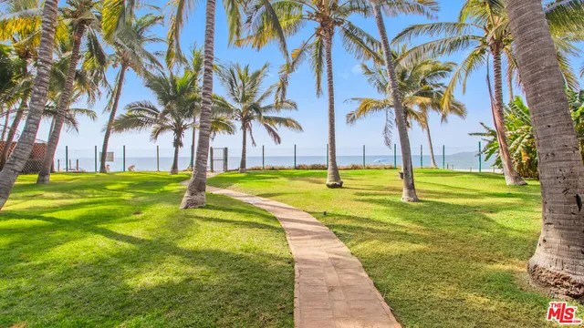 a view of a yard with palm trees