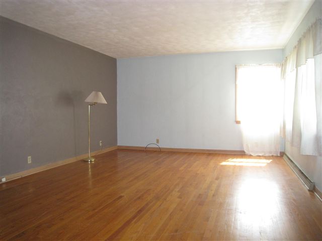 307 East D Street Alpha, IL 61413 - Photo 2 of 14 Gallery Image 2