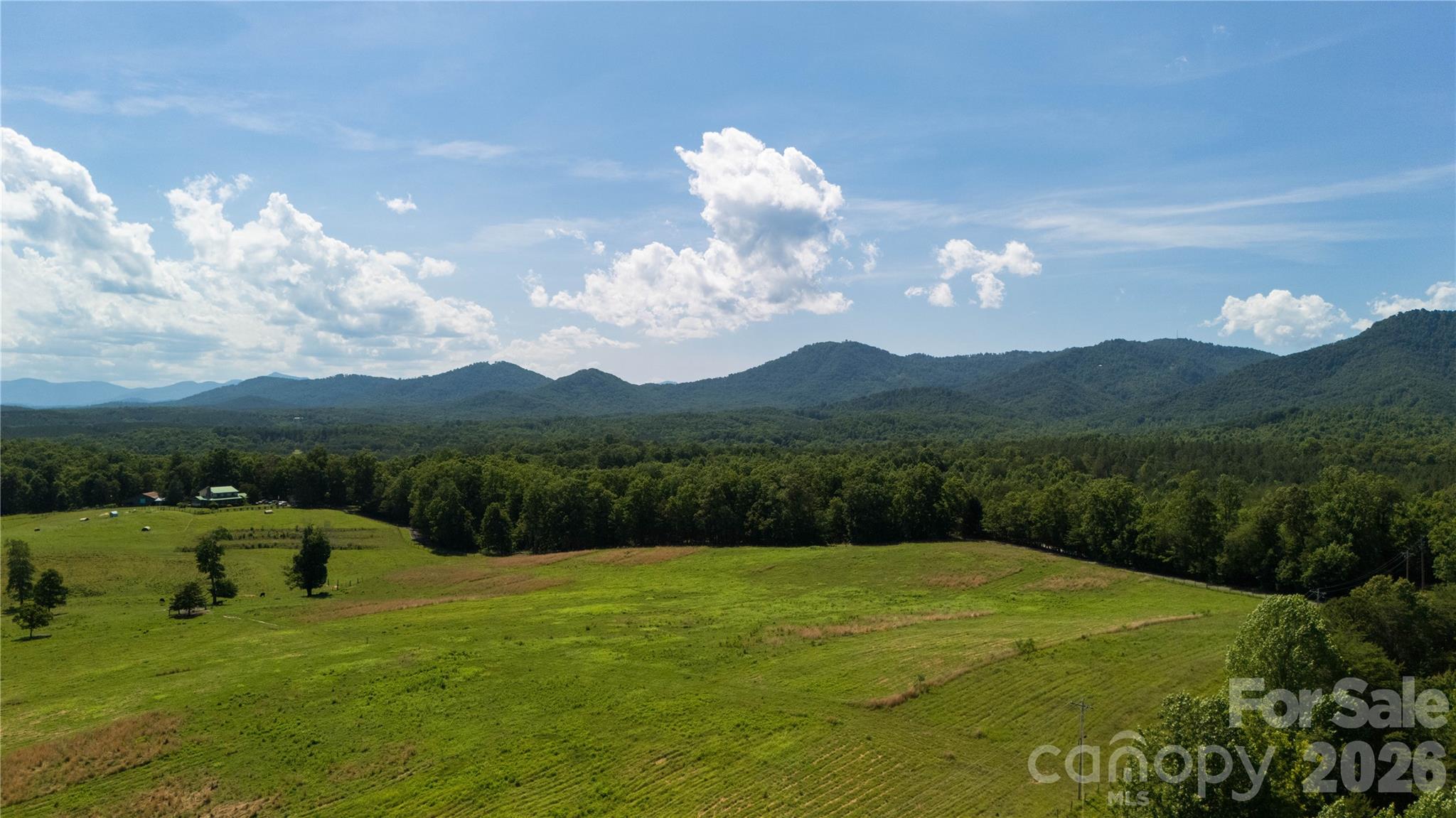 540 Crutchfield Road Union Mills, NC 28167 - Photo 8 of 19