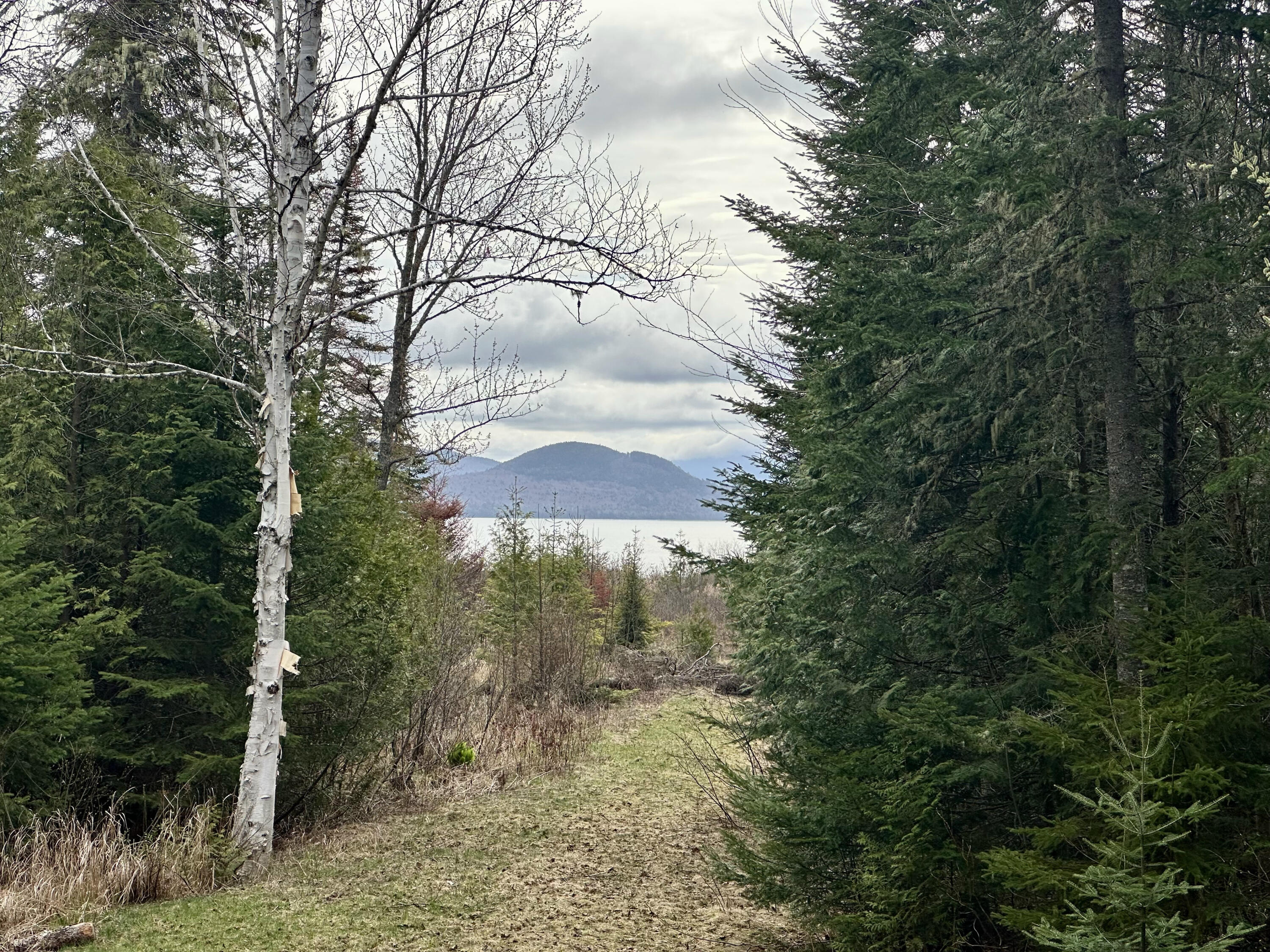 2318 Toe Of The Boot Road Rockwood, ME 04478 - Photo 2 of 19 IMG_4532