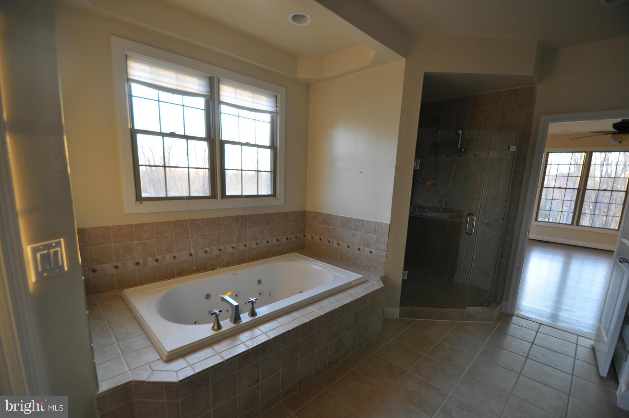 12668 Frederick Road West Friendship, MD 21794 - Photo 15 of 30 Bath (Master)