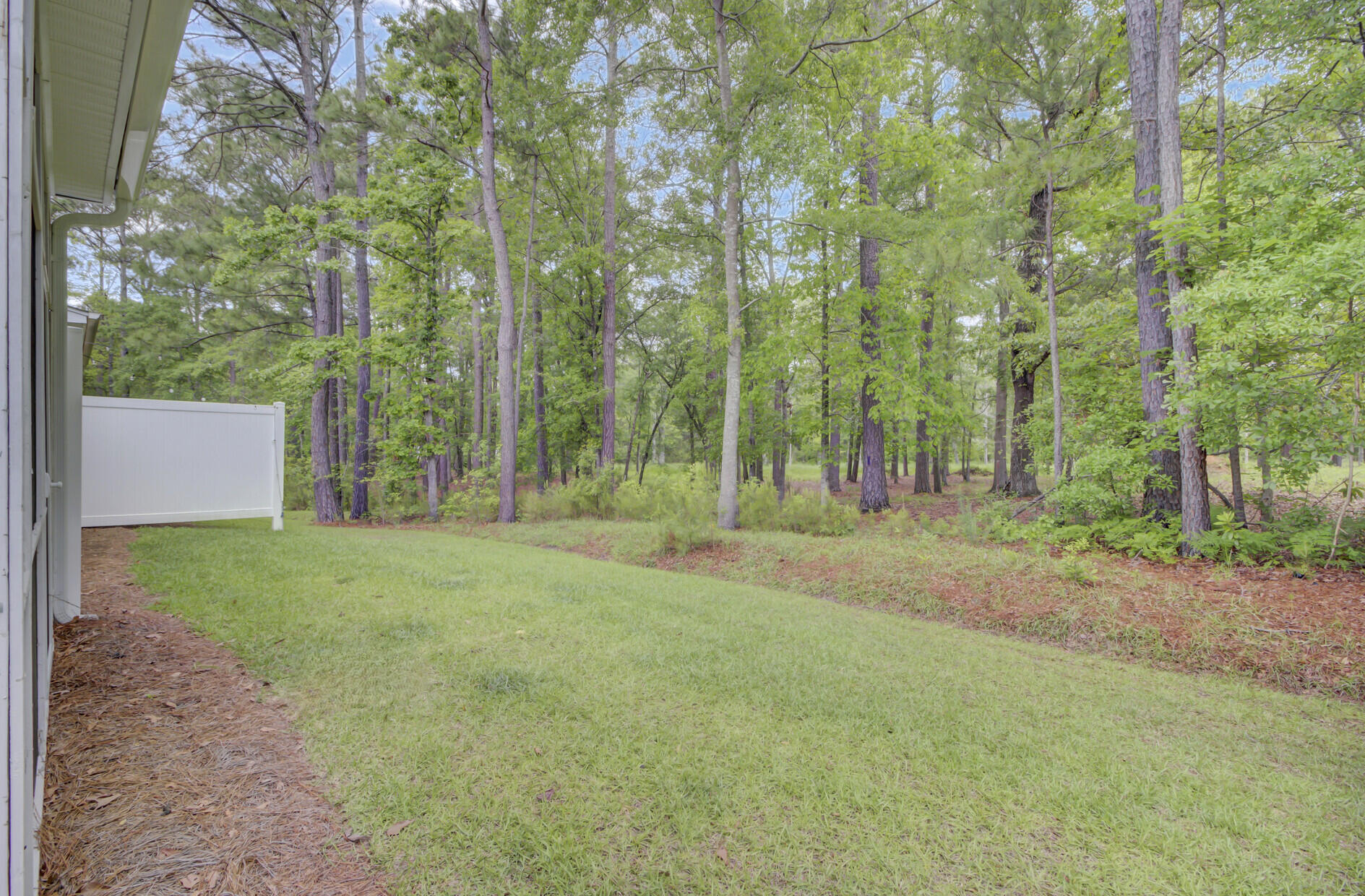 113 Alpine Road Summerville, SC 29485 - Photo 39 of 39 Rear Woods