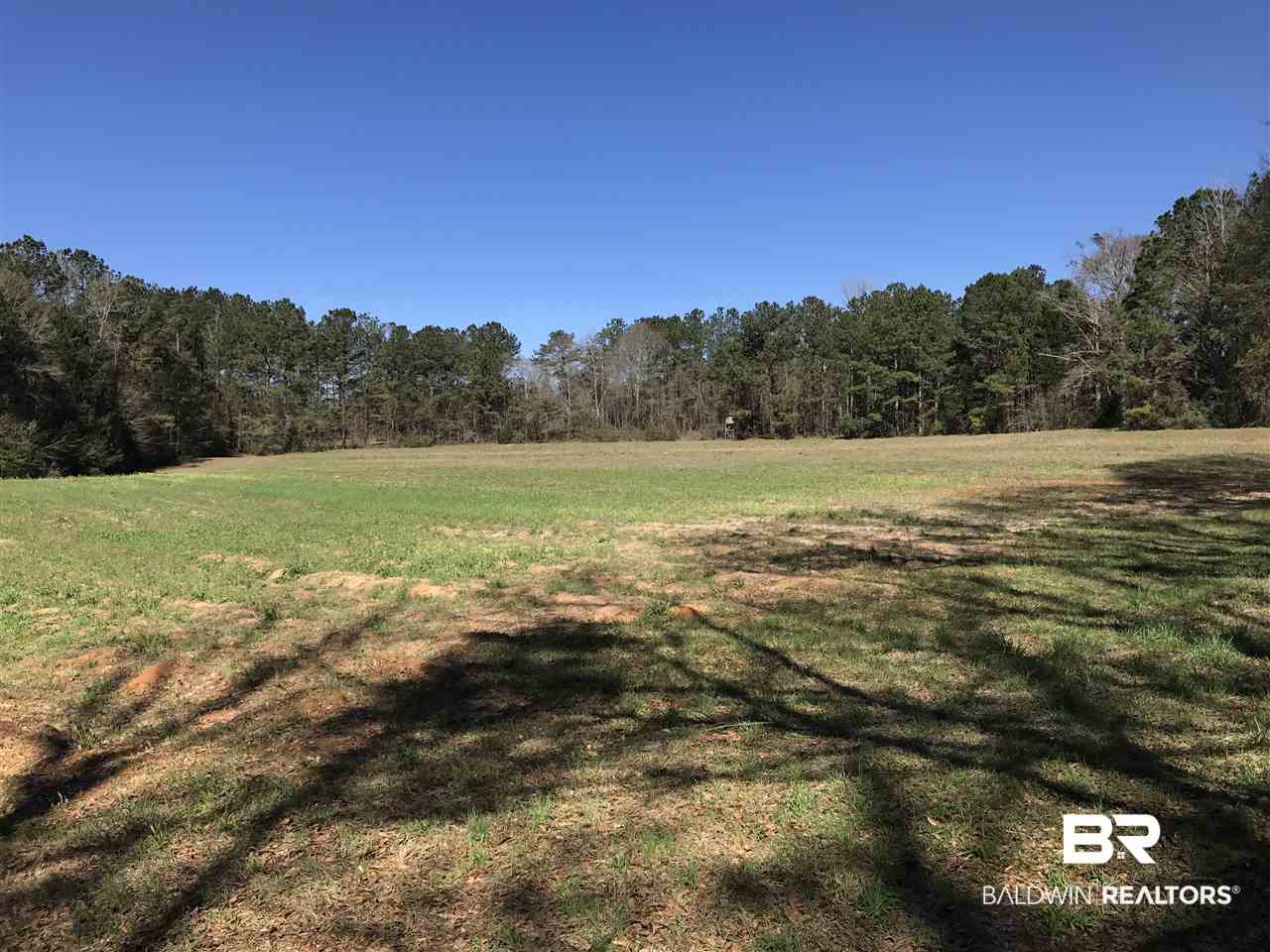 1478 Ridge Road Greenville, AL 36037 - Photo 32 of 50