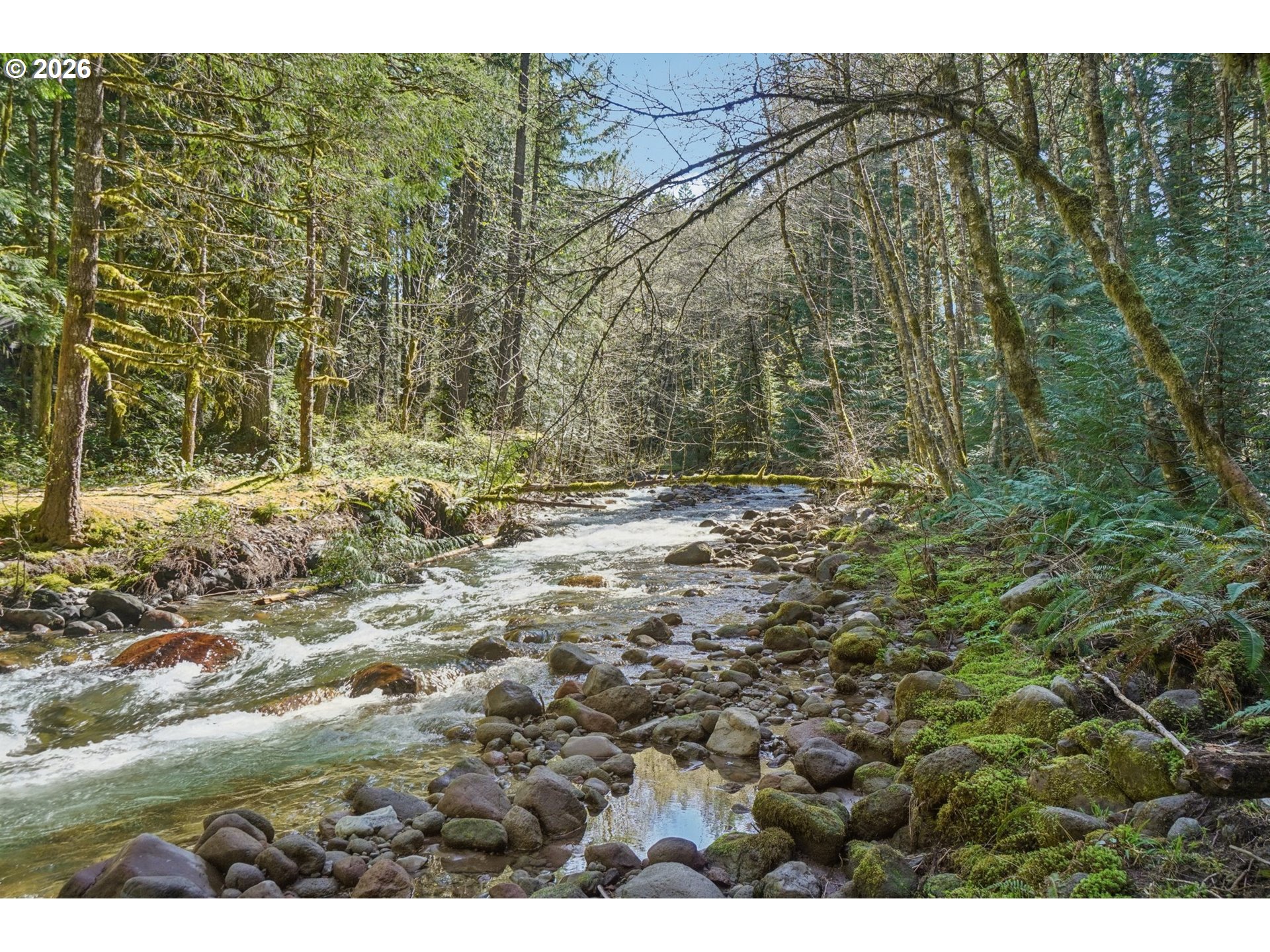 75804 Mt Hood Highway Rhododendron, OR 97049 - Photo 24 of 29