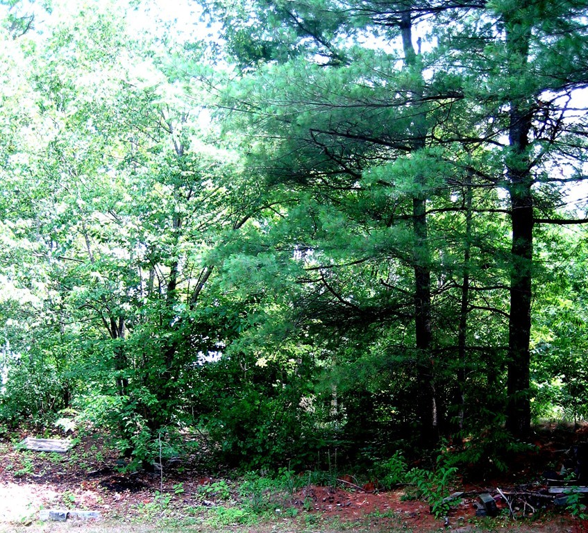 55 Kendall Pond Road East Gardner, MA 01440 - Photo 17 of 19 Gallery Image 17