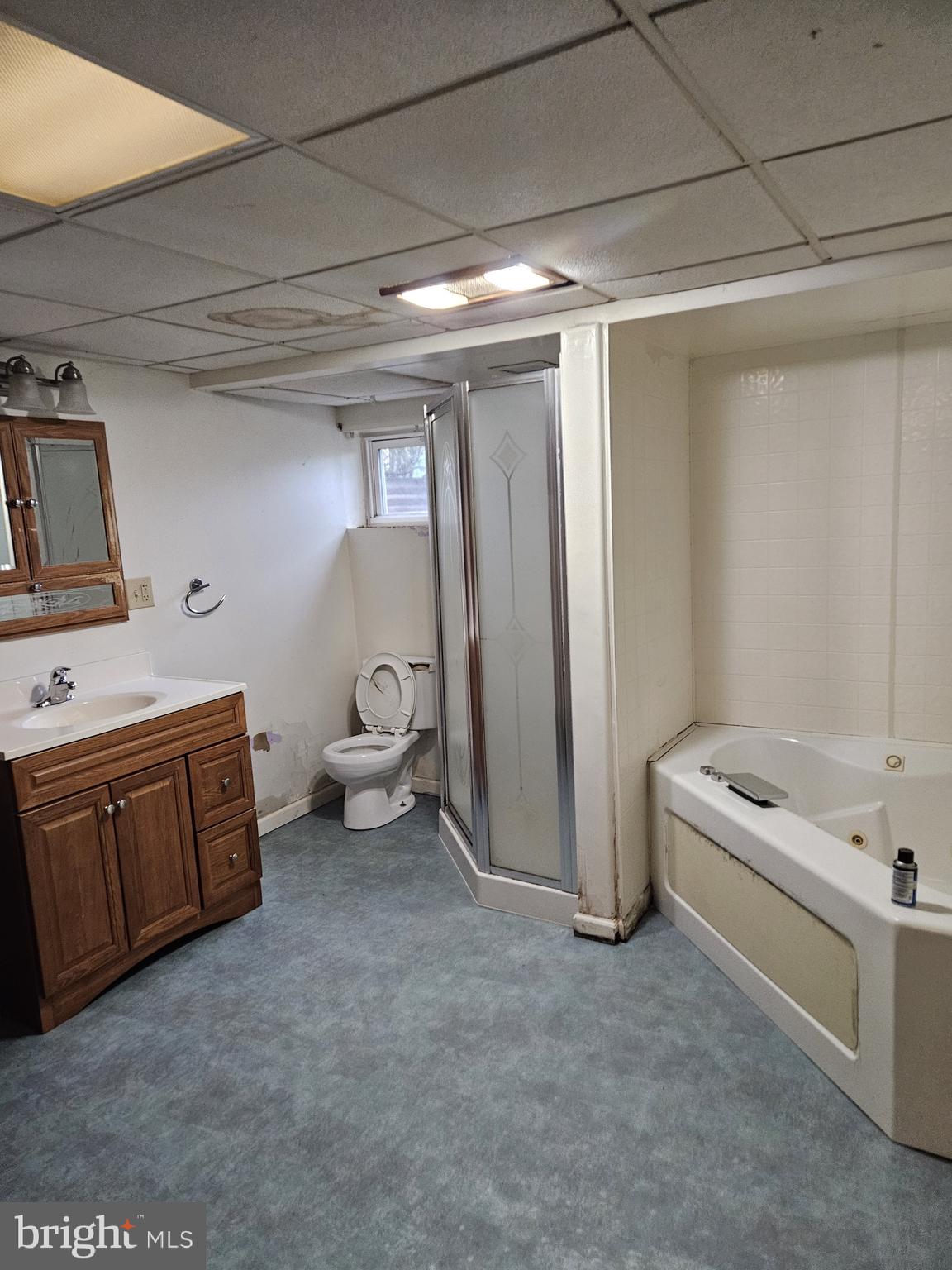 2061 Bethel Road Finksburg, MD 21048 - Photo 54 of 67 lower level bath