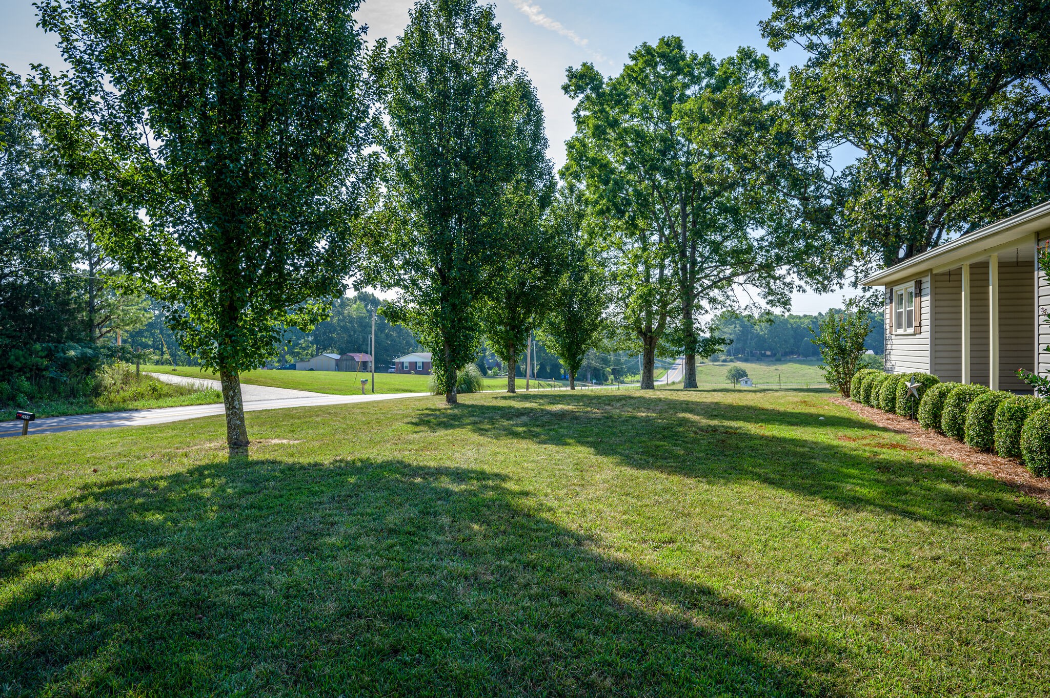 2558 Chisholm Road Iron City, TN 38463 - Photo 4 of 35 a view of green field with trees in the background