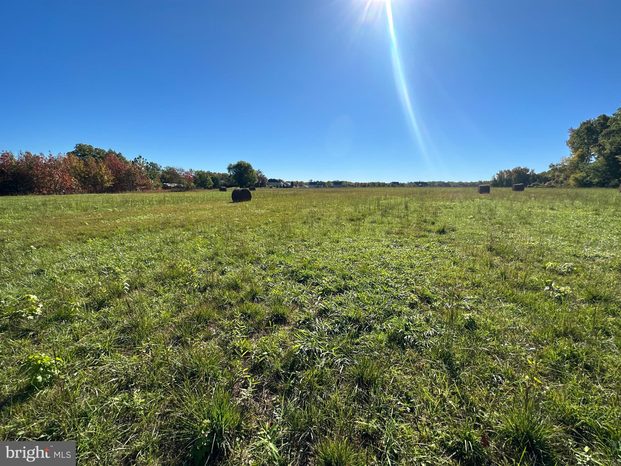 1038 Fieldsboro Road Townsend, DE 19734 - Photo 19 of 28